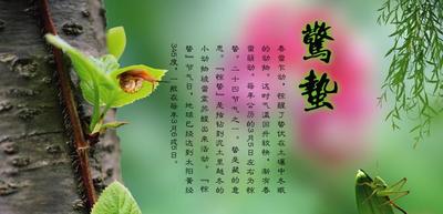 文章附图